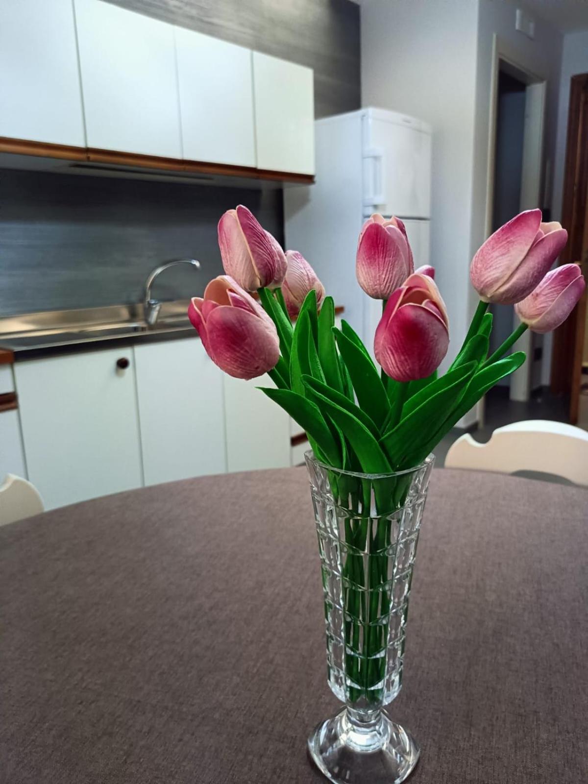 Apartament Casa Didyma San Giovanni Gemini Zewnętrze zdjęcie